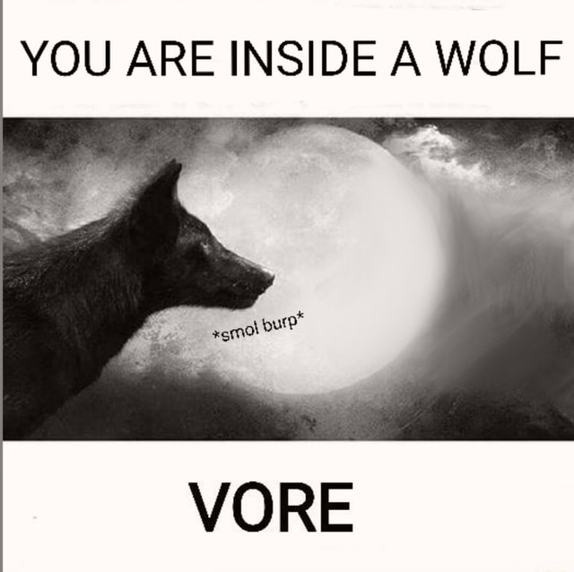 YOU ARE INSIDE A WOLF VORE - iFunny
