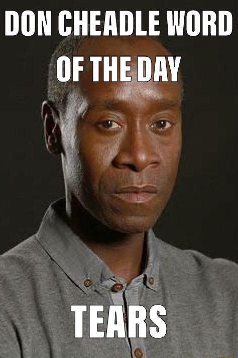 Don Cheadle Word Of The Day Tears