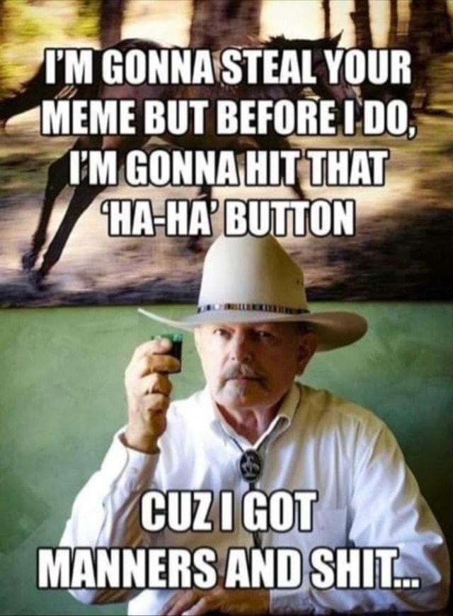 I'M GONNA STEAL YOUR MEME BUT BEFORE DO. GONNA.HIT THAT HAHA BUTTON