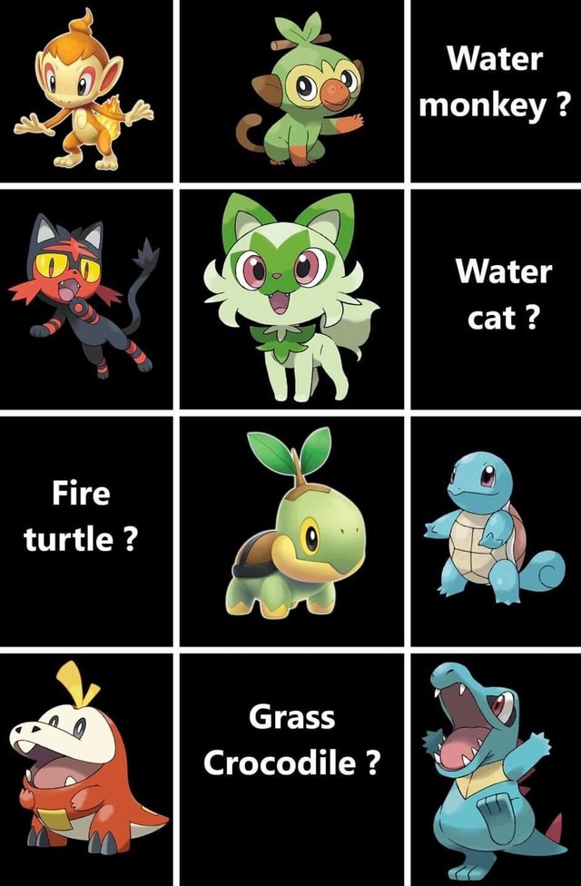 Water monkey ? Water cat ? Fire turtle ? Grass Crocodile? I - iFunny