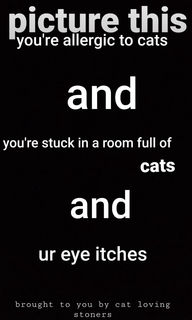 Picture this youre allergic to cats and you're stuck in a room full of