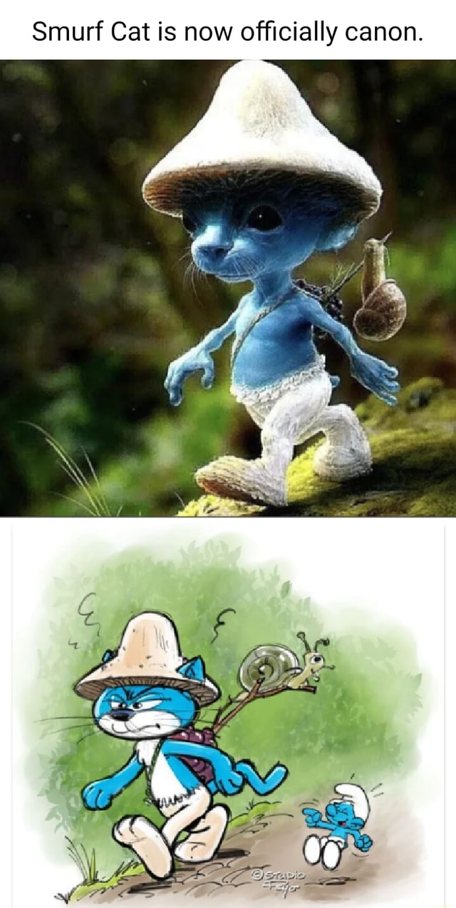 Why Smurf Cat Just Became Canon 