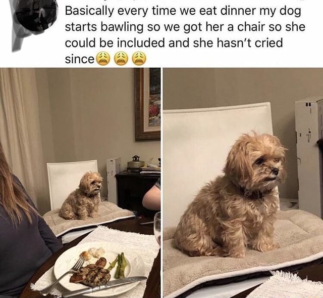 Basically every time we eat dinner my dog starts bawling so we got her ...