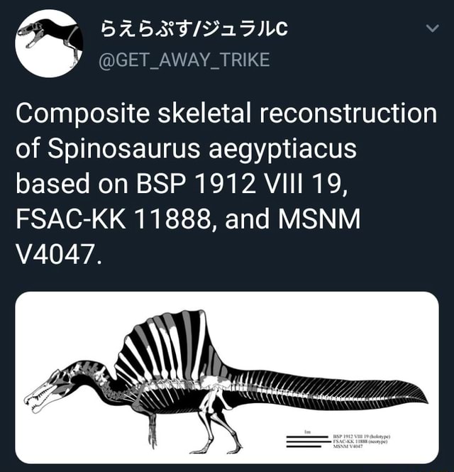 Spinosaurus Aegyptiacus Skeletal Reconstruction By Ko 
