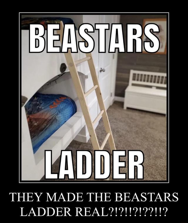 Beastars ladder they made the beastars ladder real? 