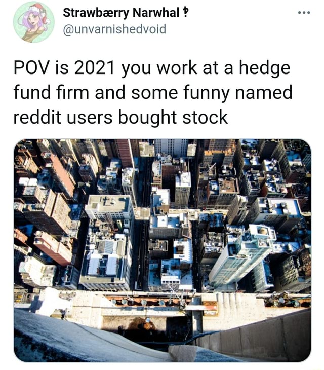 Strawbzerry Narwhal ? POV is 2021 you work at a hedge fund firm and some  funny named it users bought stock 