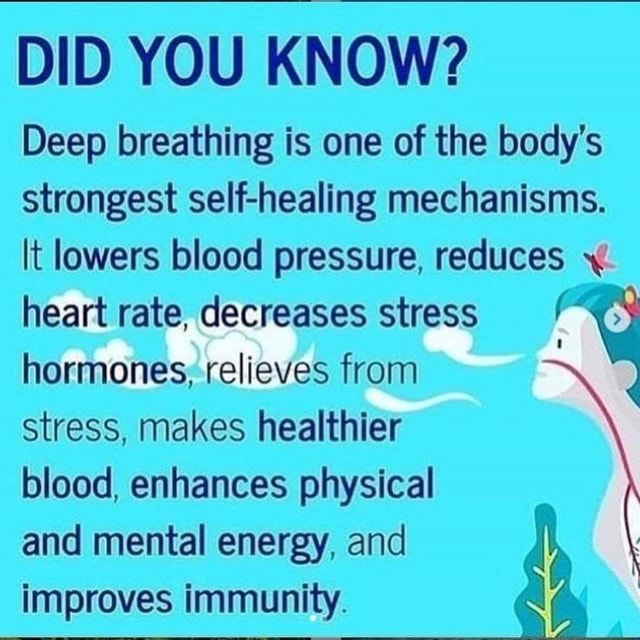 DID YOU KNOW? Deep Breathing Is One Of The Body's Strongest Self ...