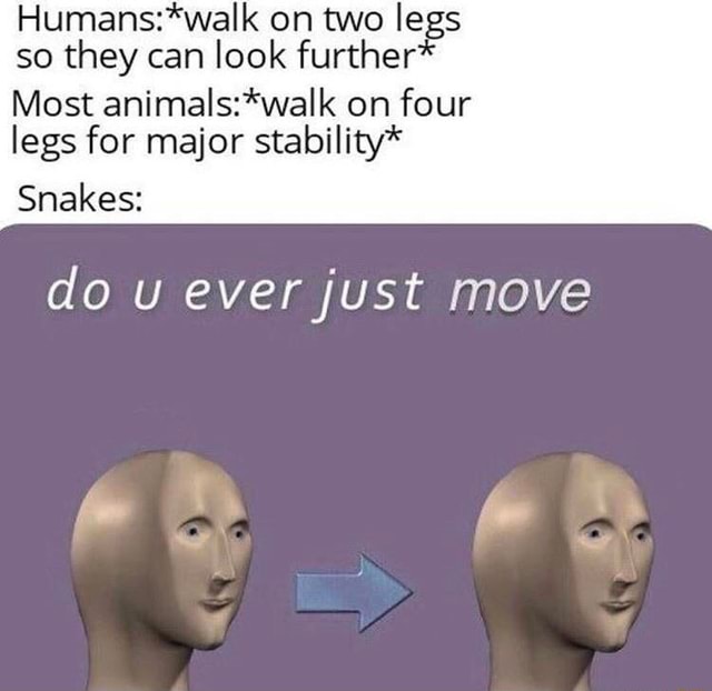 Humans:*walk on two legs so they can look further Most animals:*walk on ...