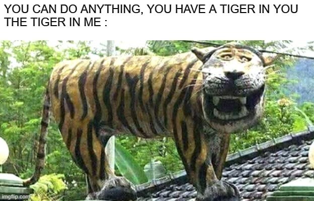 YOU CAN DO ANYTHING, YOU HAVE A TIGER IN YOU THE TIGER IN ME - iFunny