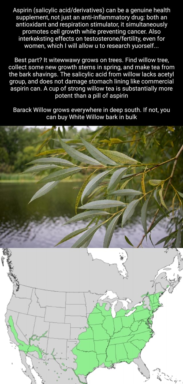 Aspirin (salicylic can be a genuine health supplement, not just an anti