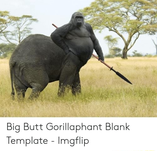 Big Butt Gorillaphant Blank Template Imgflip Ifunny