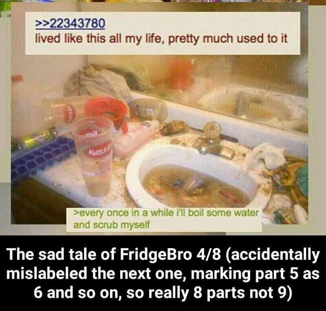 what happened to fridgebro