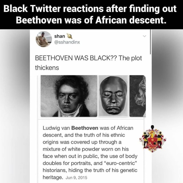 Black Twitter reactions after finding out Beethoven was of African ...