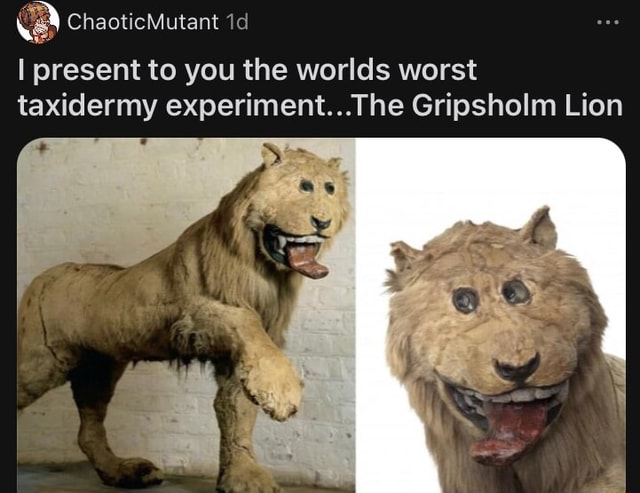 ChaoticMutant I present to you the worlds worst taxidermy The Gripsholm ...