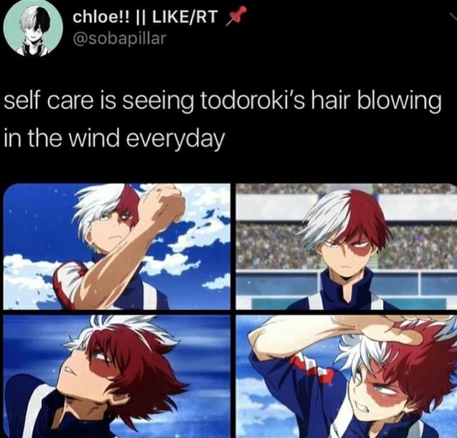 Self Care Is Seeing Todoroki's Hair Blowing In The Wind Everyday - Ifunny