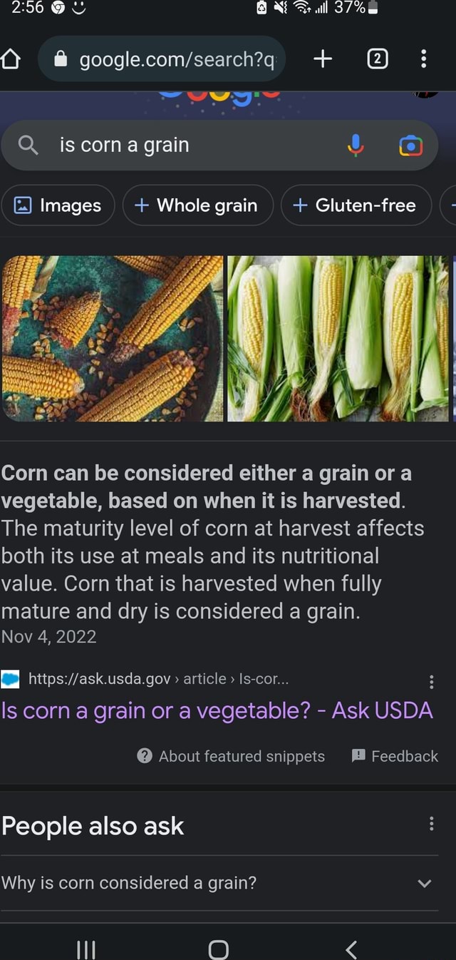 is-corn-a-grain-a-vegetable-or-a-fruit-nutritionists-explain