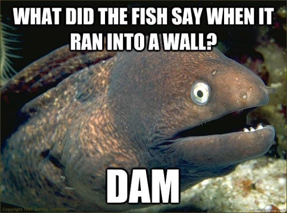 what-did-the-fish-say-when-it