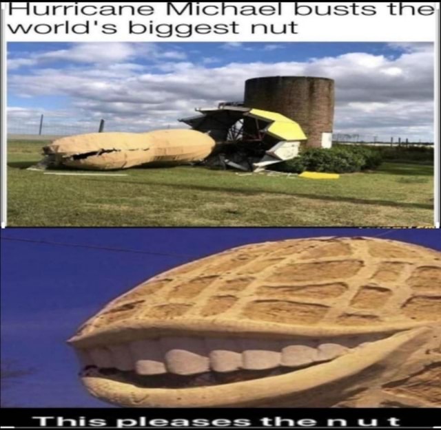 Hurricane Michael! busts the world's biggest nut iFunny