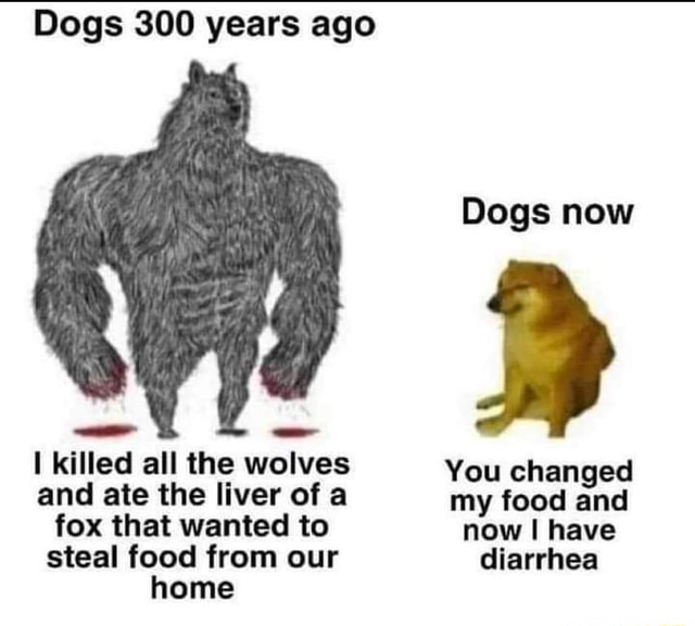 thousands of years later dog