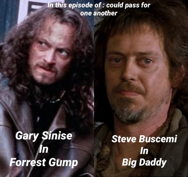 In this episode of could pass for one another Gary Sinise Steve