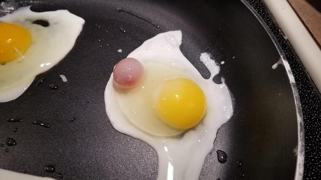 fertilized-egg-yolk-in-double-yolk-egg-it-was-full-of-blood-ifunny