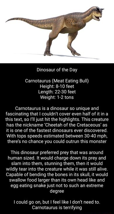 Dinosaur of the Day Carnotaurus (Meat Eating Bull) Height: 8-10 feet ...