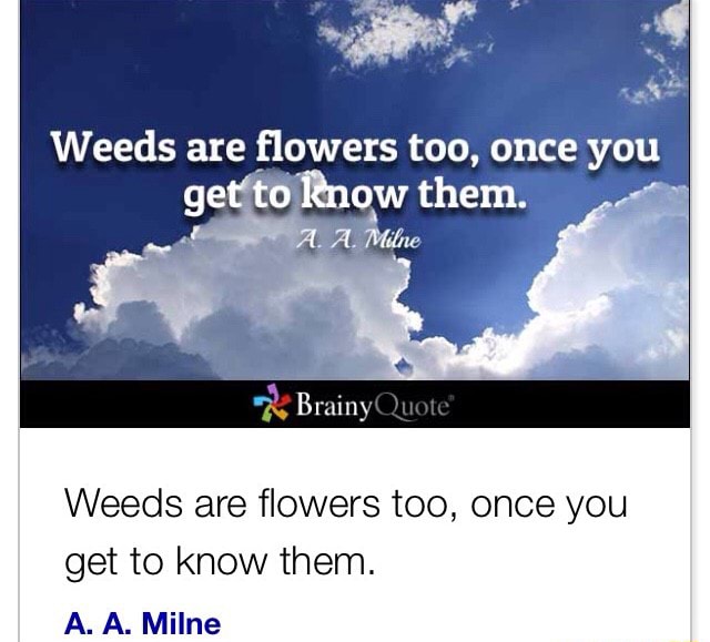 Weeds are flowers too, once you know Weeds are flowers too, once you