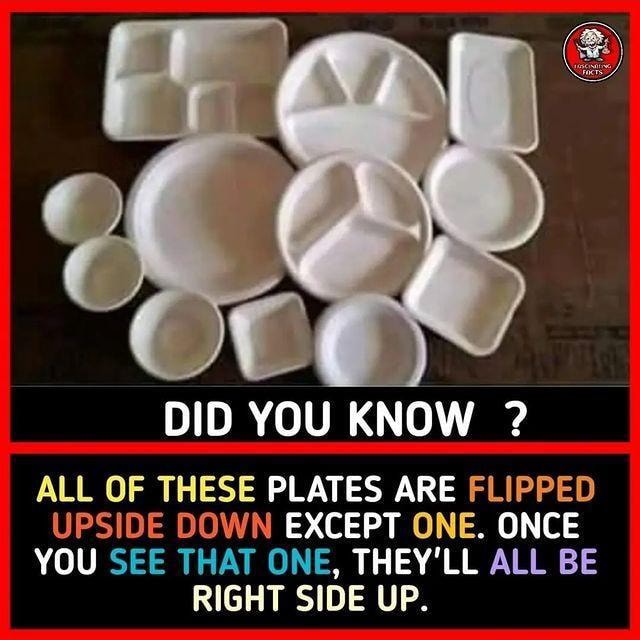 DID YOU KNOW ? ALL OF THESE PLATES ARE FLIPPED UPSIDE DOWN EXCEPT ONE