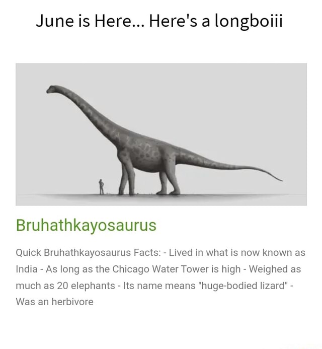 June is Here... Here's a longboiii Bruhathkayosaurus Quick ...