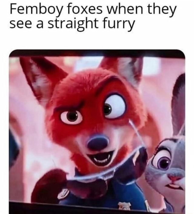 Femboy foxes when they see a Straight furry - iFunny