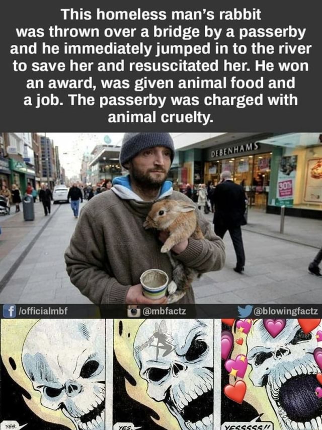 This homeless man's rabbit was thrown over a bridge by a passerby and ...