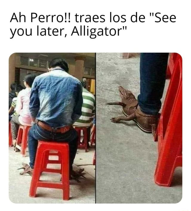 Ah Perro Traes Los De See You Later Alligator Ifunny