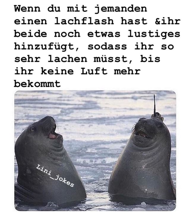 Wenn du mit jemanden einen lachflash hast &ihr beide noch etwas