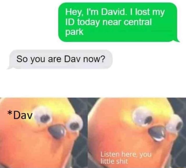 hey-i-m-david-i-lost-my-id-today-near-central-park-so-you-are-dav-now