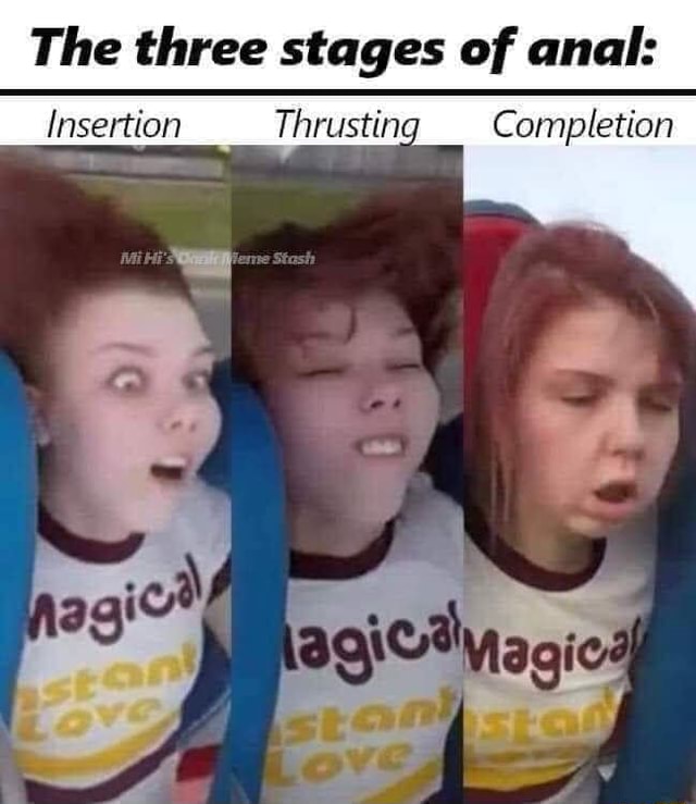 The Three Stages Of Anal Insertion Thrusting Completion Ifunny