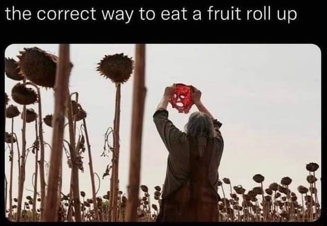 The Correct Way To Eat A Fruit Roll Up Ifunny 