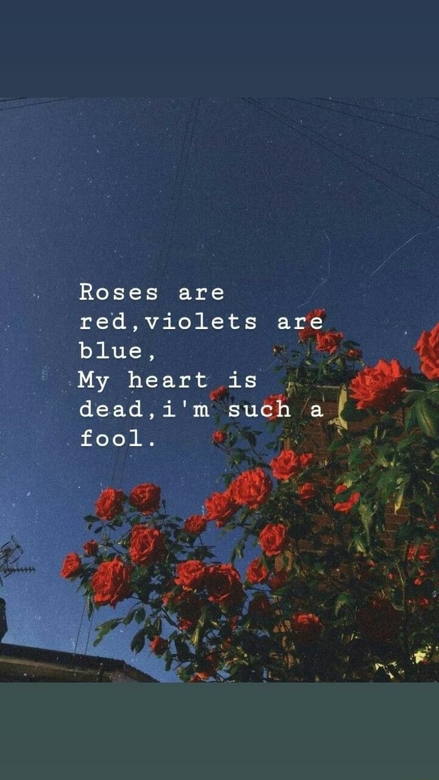 Roses Are Redviolets Are Blue And My Heart Is Deadim Such Ai Fool