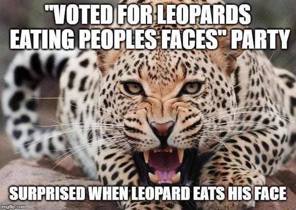 "WOTED FOR LEOPARDS EATING PEOPLES FACES" PARTY SURPRISED WHEN LEOPARD