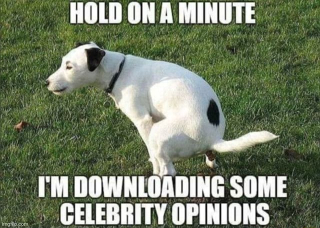 hold-on-a-minute-i-m-downloading-some-celebrity-opinions-ifunny