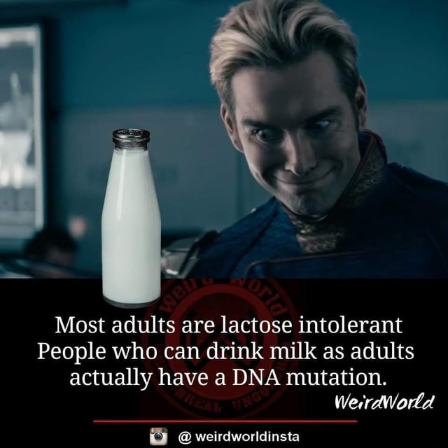 Most adults are lactose intolerant People who can drink milk as adults