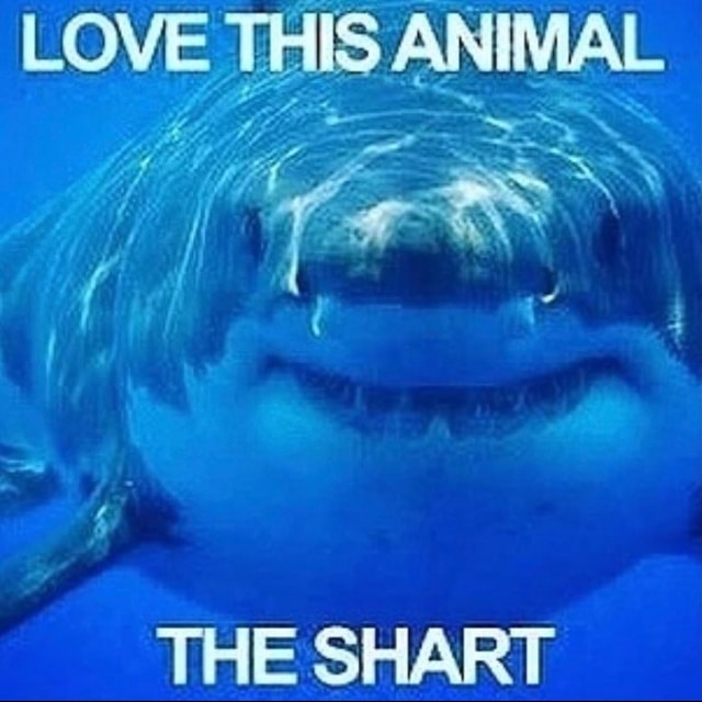 LOVE ANIMAL THE SHART - iFunny