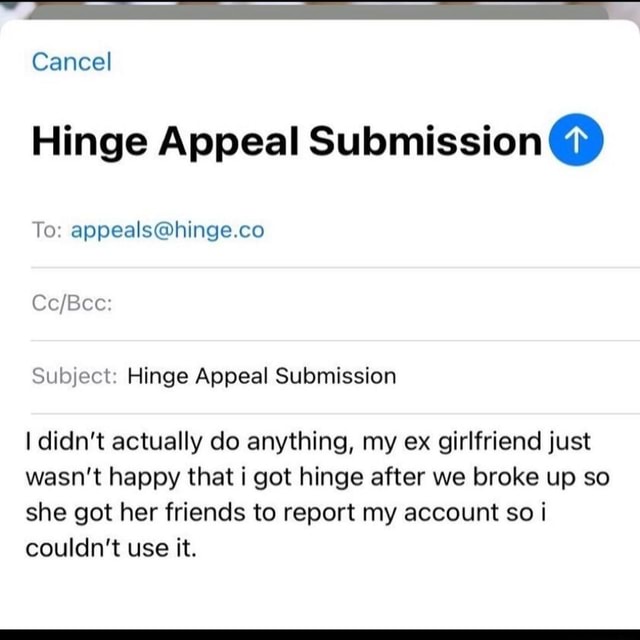 Hinge Appeal