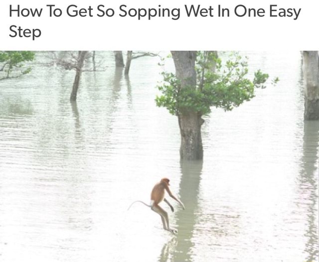How To Get So Sopping Wet In One Easy Step )