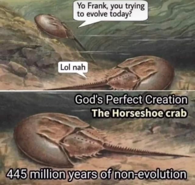 Yo Frank, you trying I to evolve today? Lol God's Perfect Creation The
