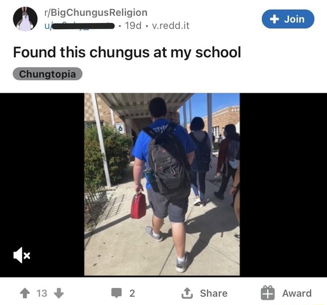 V.redd.it Found this chungus at my school Share Chungtopia - iFunny