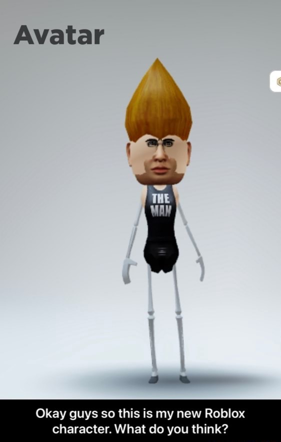 My silly little roblox avatar :-)