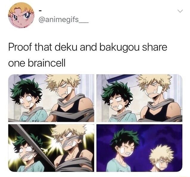 Proof that deku and bakugou share - iFunny