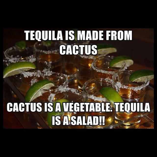 TEQUILA IS MADE FROM CACTUS CACTUS IS A VEGETABLE. TEQUILA IS America