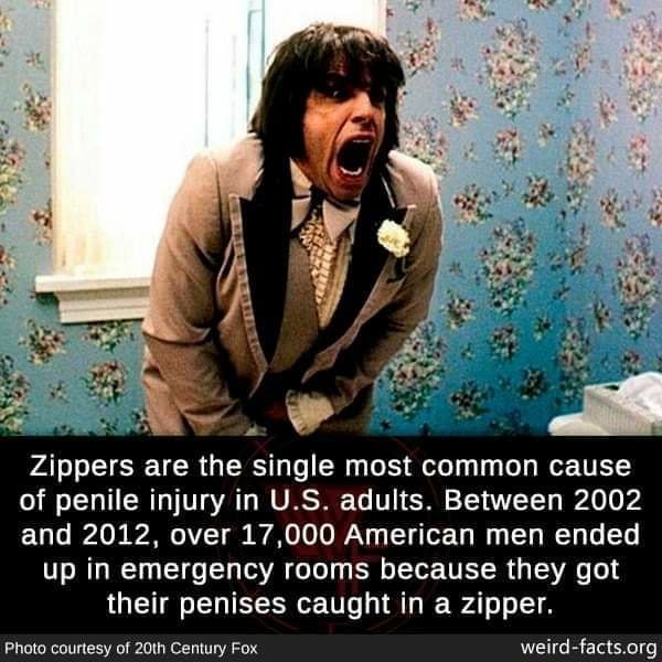 Zipper Injuries Zippers are the single most common cause of penile injury in U.S ...