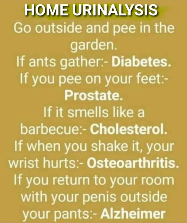 HOME URINALYSIS Go outside and pee in the garden. ants gather